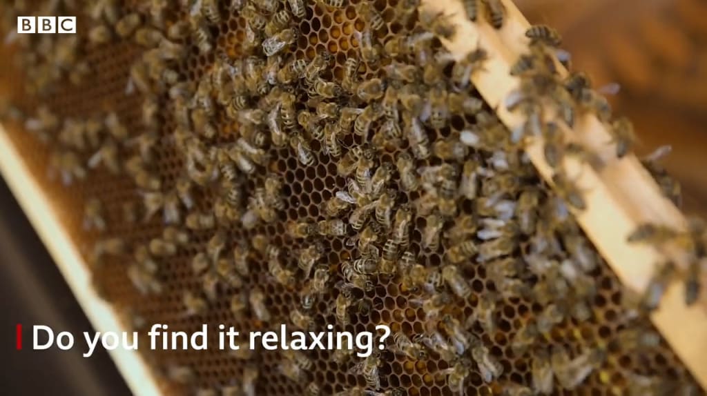 Egy ország, ahol méhzümmögésre relaxálnak